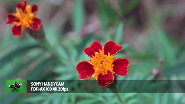 아이폰6s vs 소니 AX100 4K 영상비교 (4K VIDEO : iPhone6s vs SONY FDR-AX100) смотреть онлайн