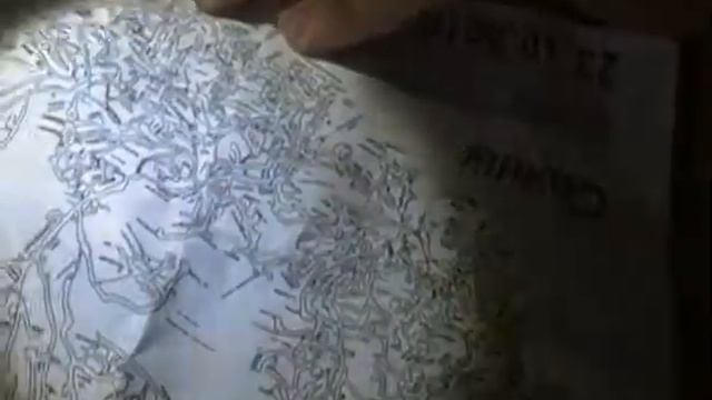 перекус в 3 поросят