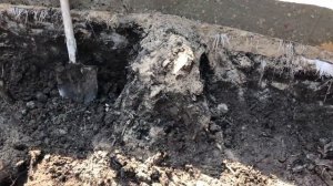 Как очистить пруд от ила своими руками. Углубляем и чистим пруд от ила. Часть 1.