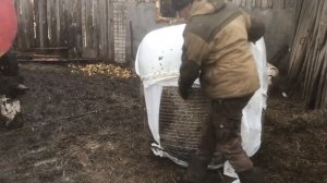 Как сохранился сенаж СЕЗОНА 2023!Качество сенажа в рулонах!