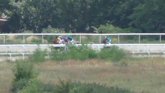 8.07.2018 - 1 Скачка на лошадях 2-х лет арабской породы - Пират Терск смотреть онлайн