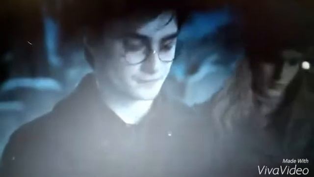 Гарри Поттер | Гермиона Грейнджер