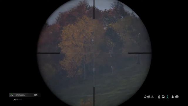 Dayz : wind effects bullet trajectory? смотреть онлайн