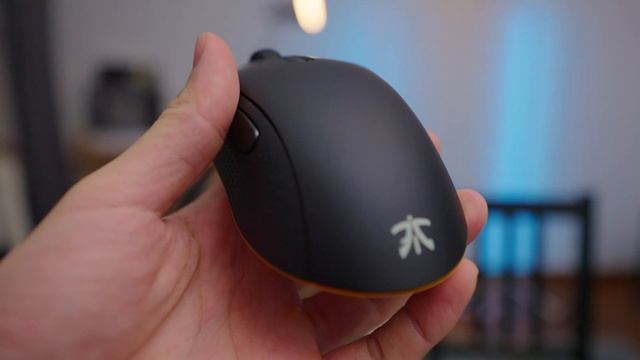 Why COULDNT FNATIC fight RAZER and LOGITECH? смотреть онлайн