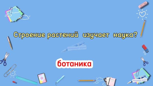 2. РУБРИКА — 20 ВОПРОСОВ / 5 класс / учимся на отлично / тренировка памяти / #зарядкадляума #школа смотреть онлайн