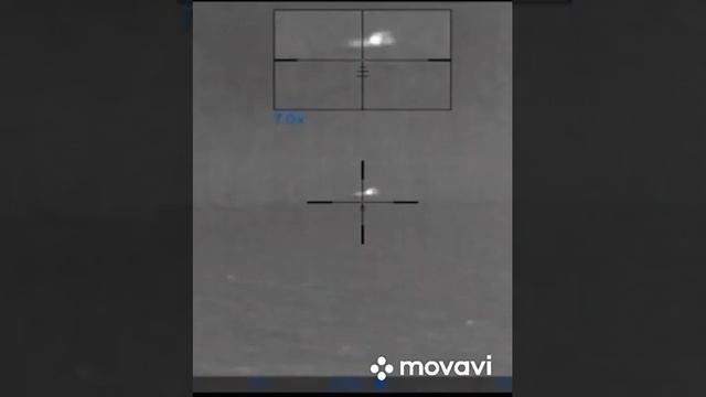 Отстрел хищников ночью с тепловизора смотреть онлайн
