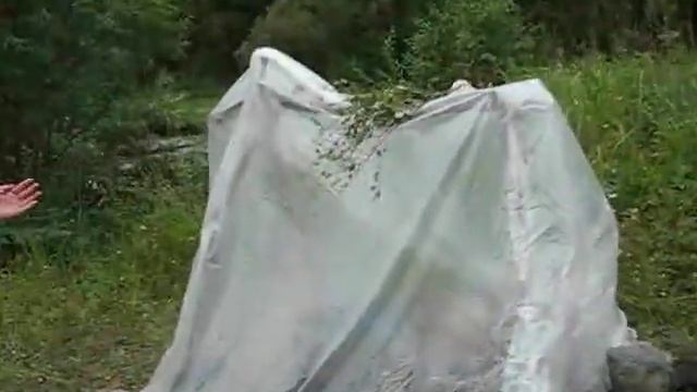 В Горном Алтае! смотреть онлайн
