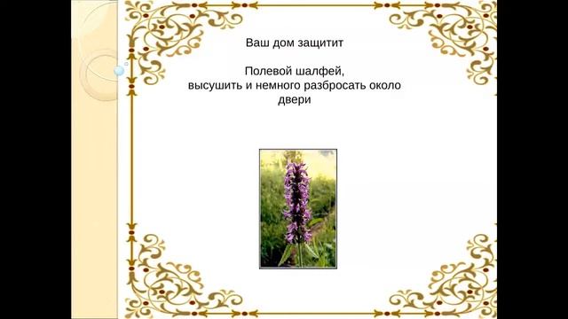 Вера Абушик. Как научиться управлять энергией вашего дома. Зимняя магия. смотреть онлайн