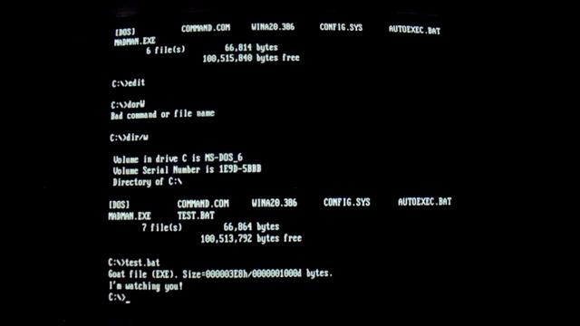 Virus.DOS.MadMan
