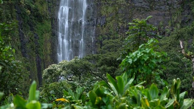 Звуки природы и лёгкий гонг для релакса. смотреть онлайн