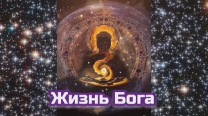 Жизнь Бога 08.10.2023 ?⚡️??
