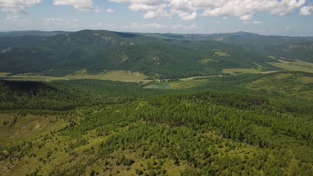 полет над полями и лесом смотреть онлайн