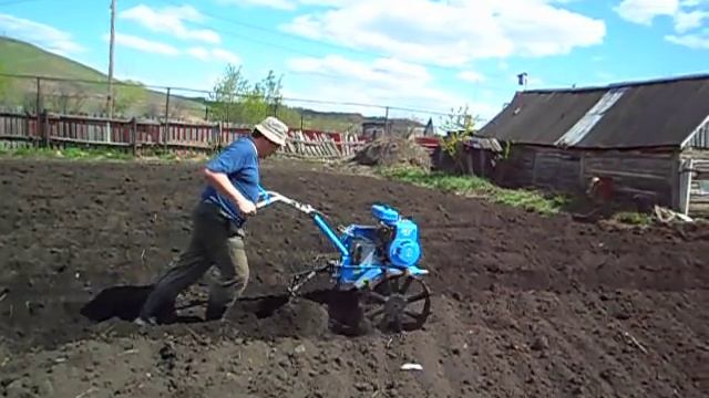 Посадка картофеля мотоблоком Нарезание борозды смотреть онлайн