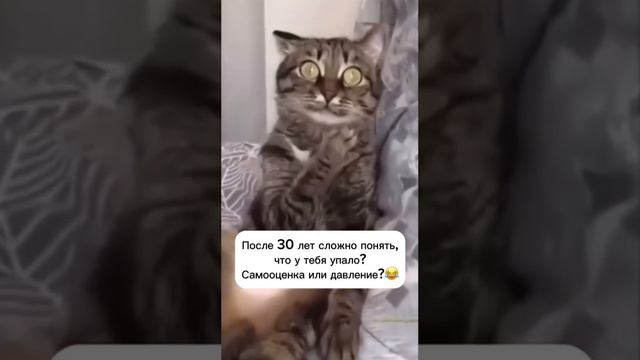 Это точно смотреть онлайн
