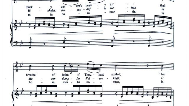 WEDDING PIANO Ave Maria F.Schubert sheet music English German Latin text intermediate смотреть онлайн