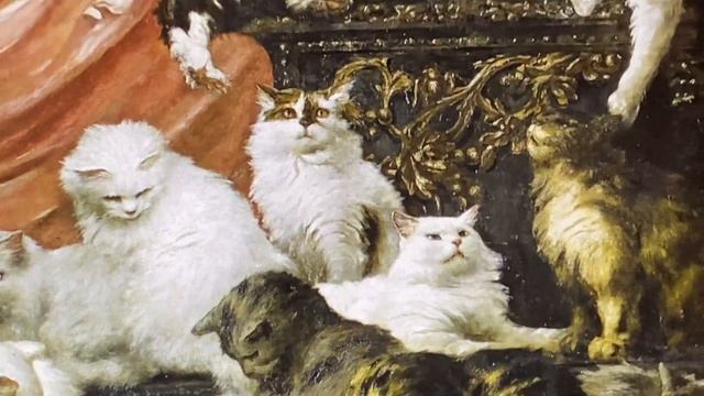 Как определить персидскую шиншиллу классического типа? смотреть онлайн