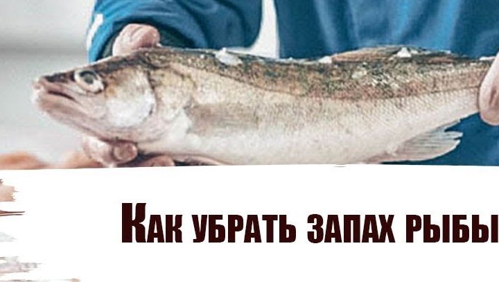 Как убрать запах рыбы.Как избавиться от запаха рыбы. смотреть онлайн
