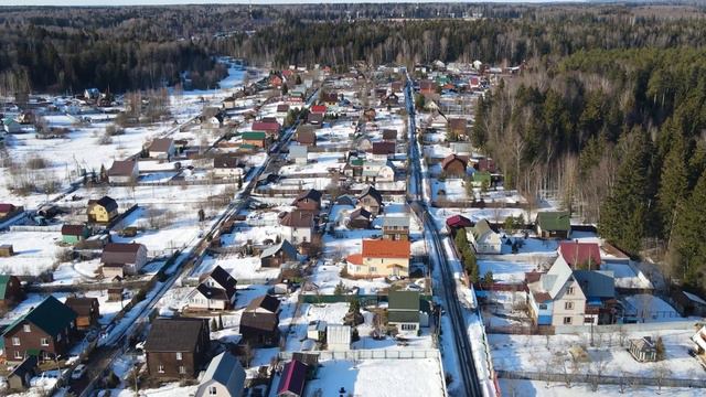Lotos смотреть онлайн