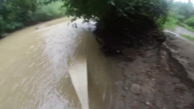 Кастинговая сеть снова в деле!!! Крупный Усач, Чернопуз, Голавль!!! смотреть онлайн