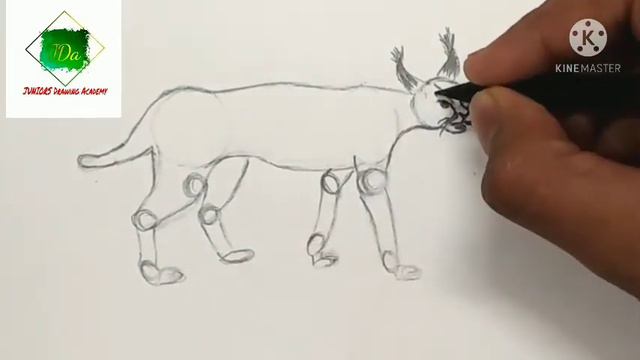 It's so easy --make an oval and draw the Caracal cat смотреть онлайн