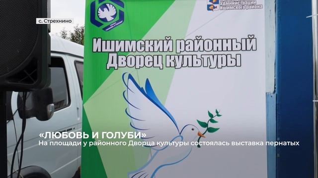 Город мой 14-10-23 смотреть онлайн