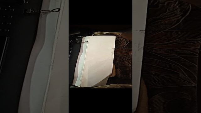 VID_20240406_153053 смотреть онлайн