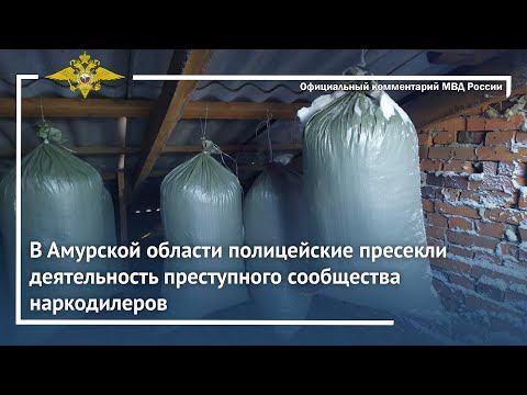 Ирина Волк: В Амурской области полицейские пресекли деятельность преступного сообщества наркодилеров смотреть онлайн