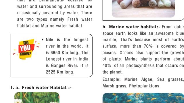 TNPSC||The living world of plants-6th new science book смотреть онлайн