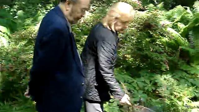 Barnes Foundation Garden смотреть онлайн