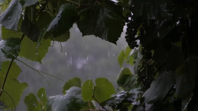 Расслабляющие звуки дождя, relax, медитация, спокойный сон смотреть онлайн