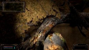 ОП-2. Острова на Затоне.