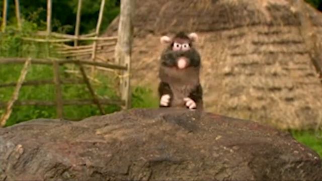 Rattus Rattus EXPOSED смотреть онлайн