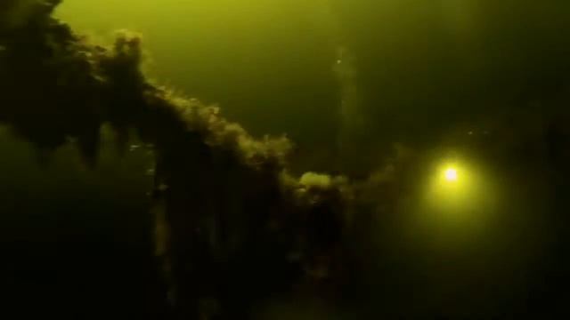 Белое море, Нереис. Divesisters 2016'06