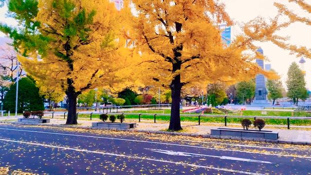 Hokkaido, Sapporo The Most Beautiful City in Japan | 4K смотреть онлайн