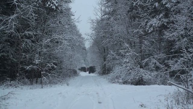 Охота на лося. Зима, 2011 год. смотреть онлайн