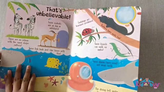 Lift A Flap Book Amazing And Curious Facts About Animals I Animals flap book I ISBN 9788184996920 смотреть онлайн