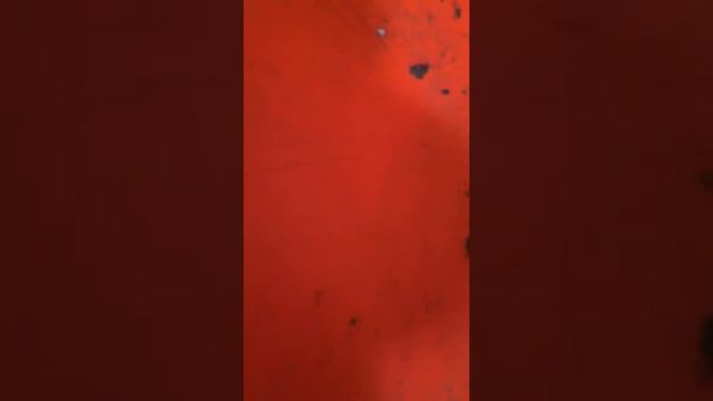 Салфетка для мытья посуды - использование не по назначению смотреть онлайн