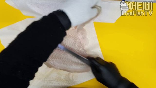 광어 2.5kg 완포 탈피 , 대광어 회뜨기 , 광어회 смотреть онлайн