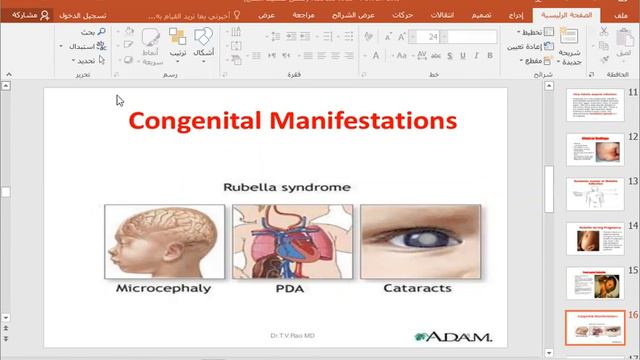 Rubella Virus смотреть онлайн