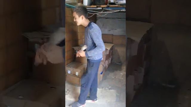 Алеша зажигает.не надо спорить смотреть онлайн