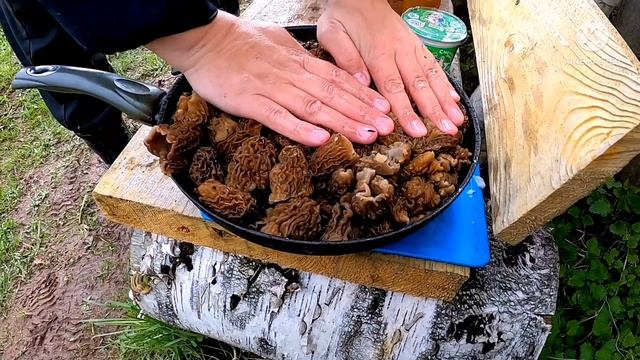 СМОРЧКИ ТУШЁНЫЕ В СМЕТАНЕ/МЕГАВКУСНОЕ ВЕСЕННЕЕ БЛЮДО... смотреть онлайн