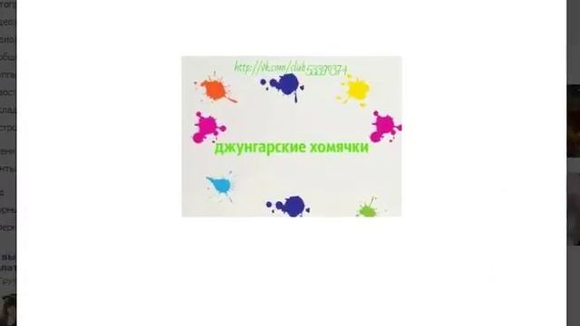 Хомячок и я смотреть онлайн