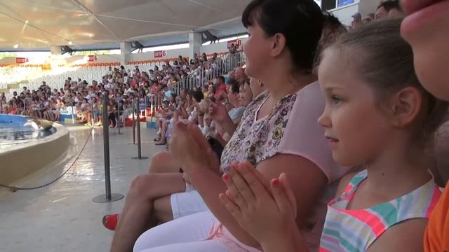 Дельфинарий-Океанариум Немо город-курорт Анапа смотреть онлайн