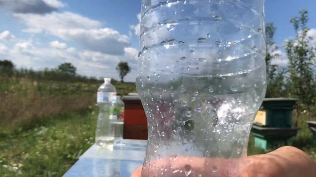 Ловушка от ос и шершней смотреть онлайн