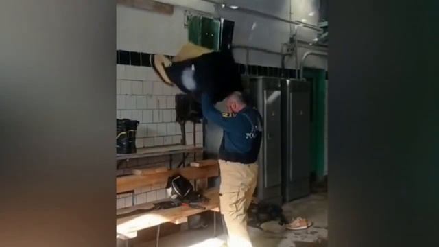 Проводы пожарного на пенсию смотреть онлайн