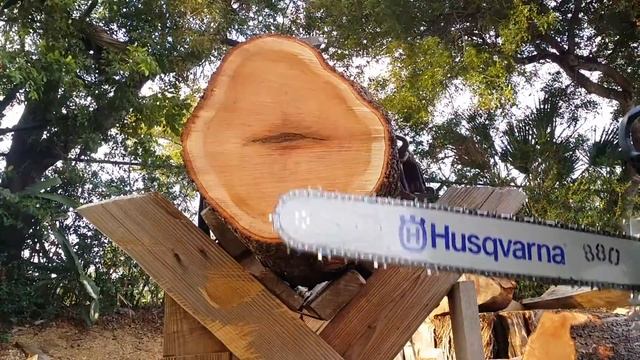 STIHL MS 880 modified смотреть онлайн