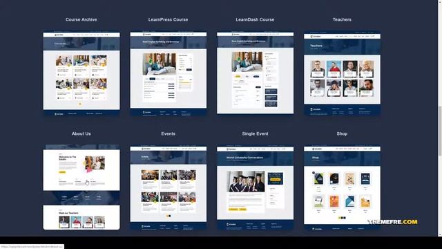 Edubin - Education WordPress Theme lms courses Mizuno смотреть онлайн