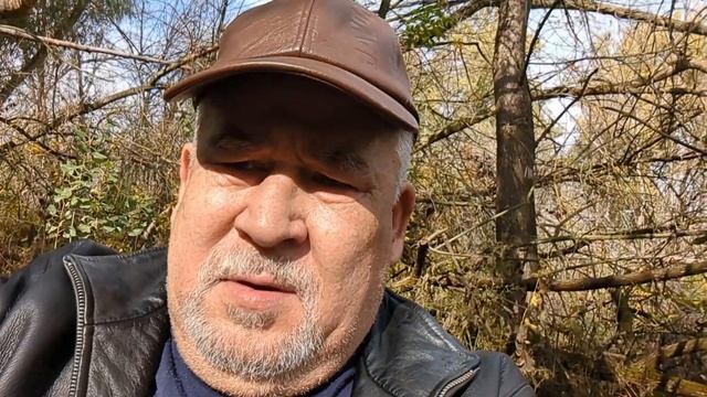 Шампиньоны и луговые опята, увы, ничего иного на Острове в октябре смотреть онлайн