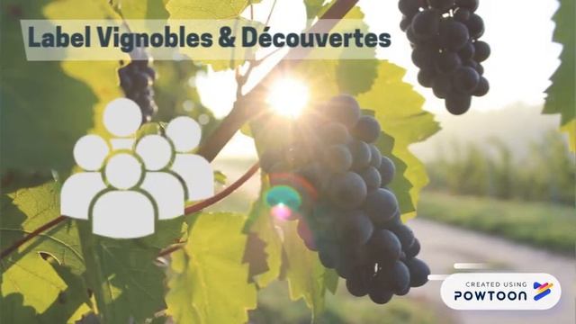 AOC Touraine Azay-Le-Rideau смотреть онлайн