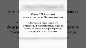 _Административная ответственность несовершеннолетних_ профилактическая беседа . (видеоролик)